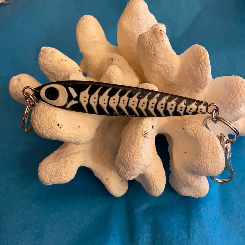 Fish key chain
